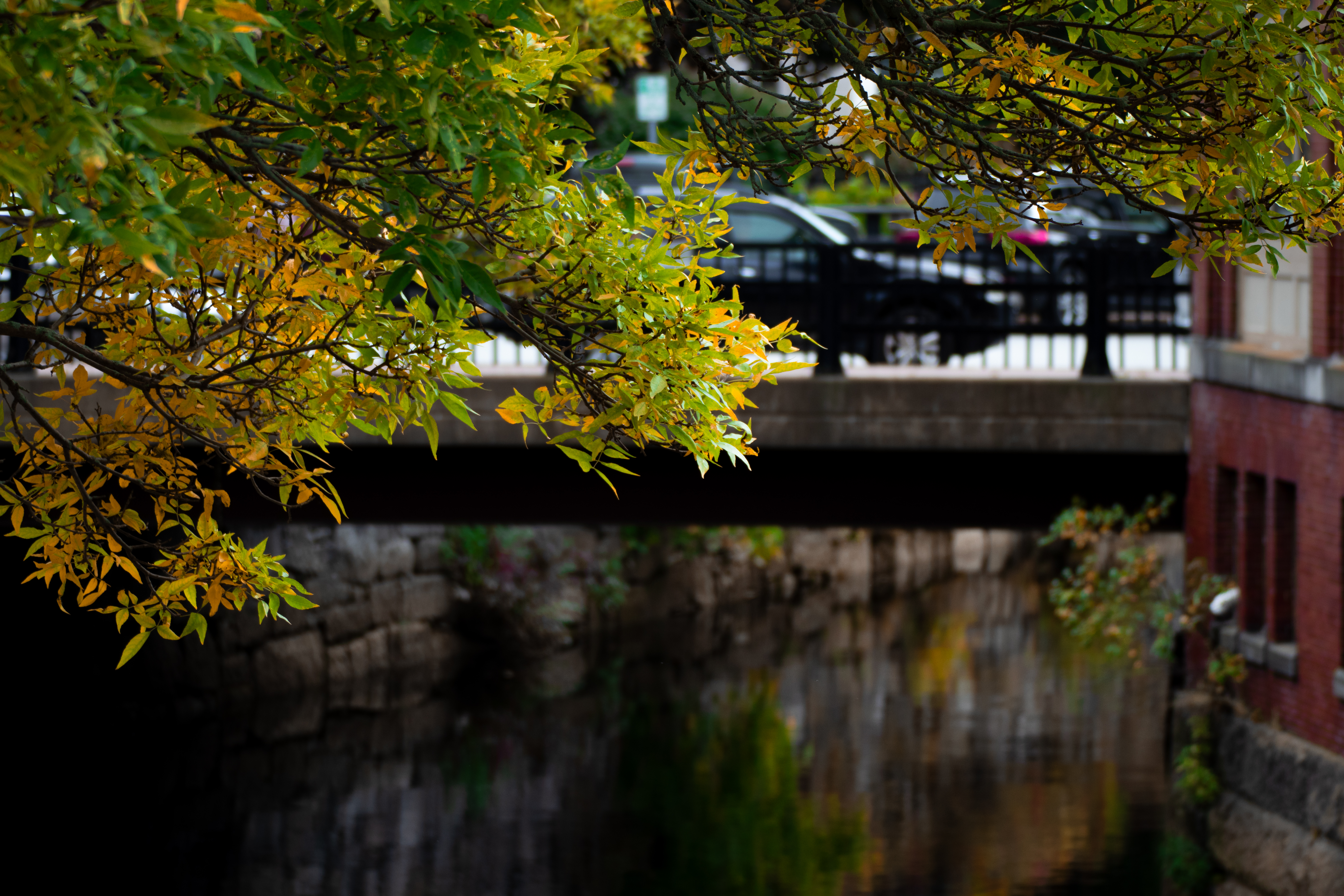canal