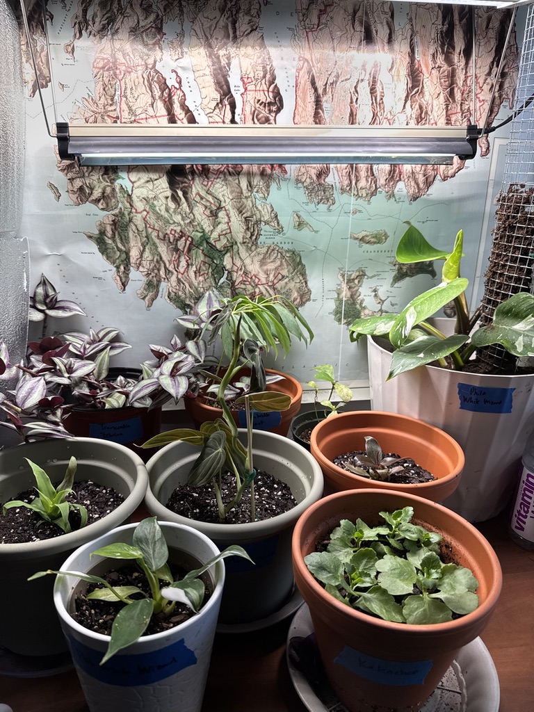 collection